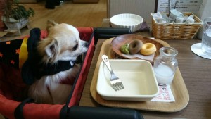 まろハロウィン