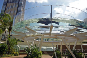 サンシャイン水族館